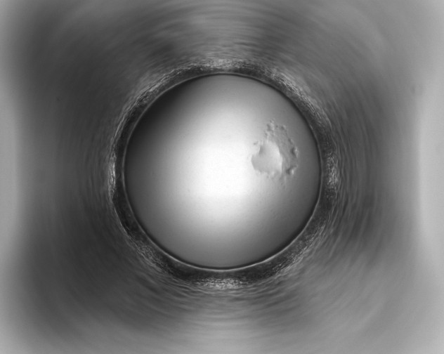 X0000093500685200711021010