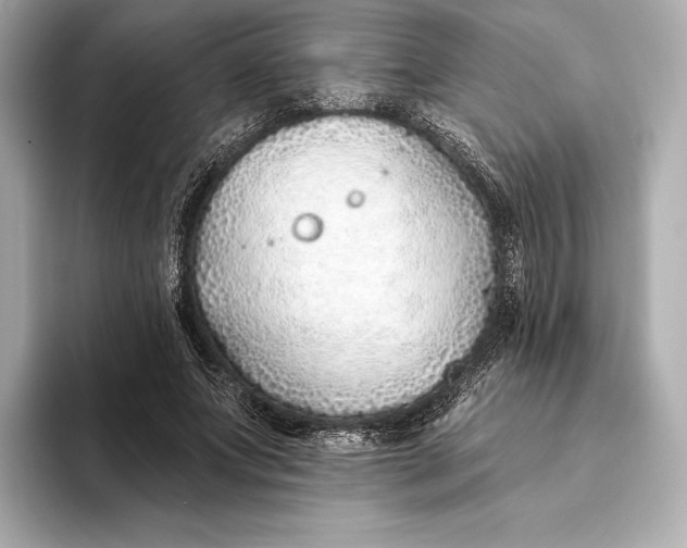 X0000093500687200711021010