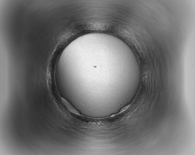 X0000093500688200711021010