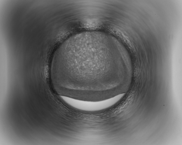 X0000093500689200711021010