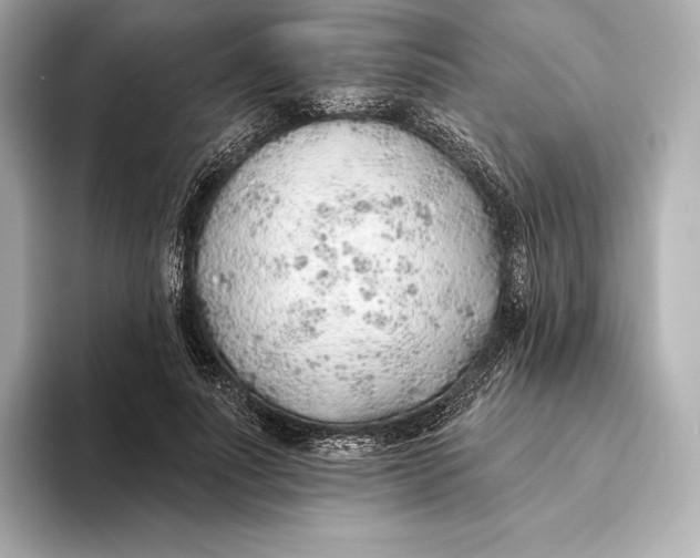 X0000093500691200711021010