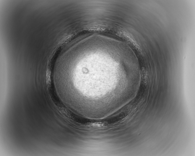 X0000093500692200711021010