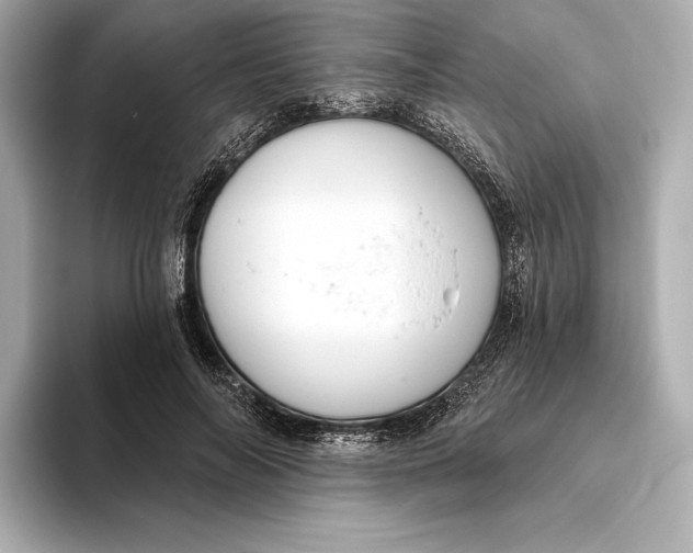X0000093500694200711021010