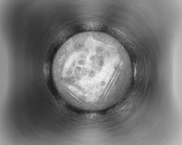 X0000093500695200711021010