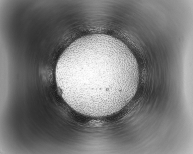 X0000093500699200711021010