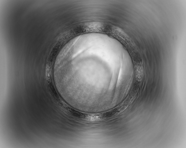X0000093500701200711021010
