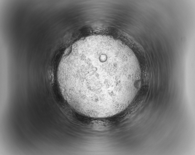 X0000093500703200711021010