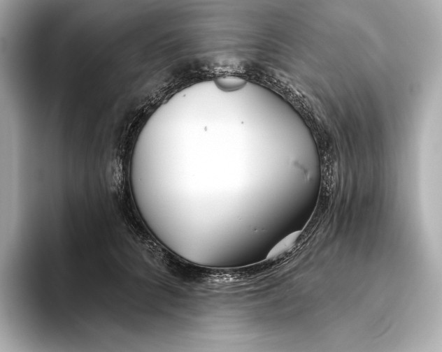 X0000093500704200711021010