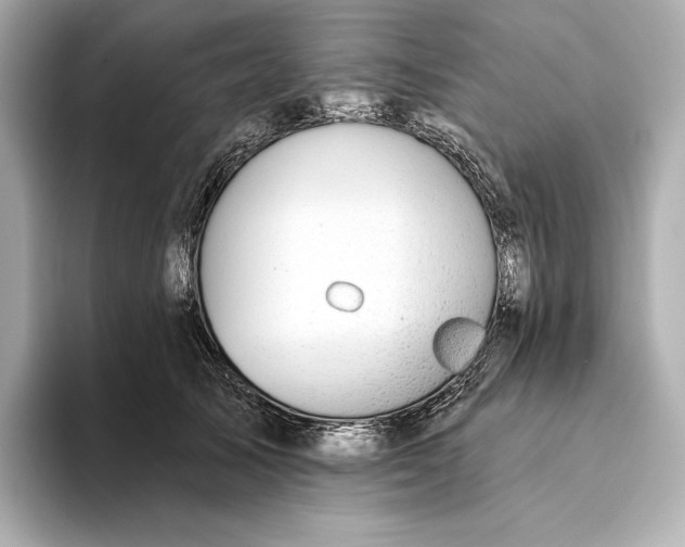 X0000093500705200711021010