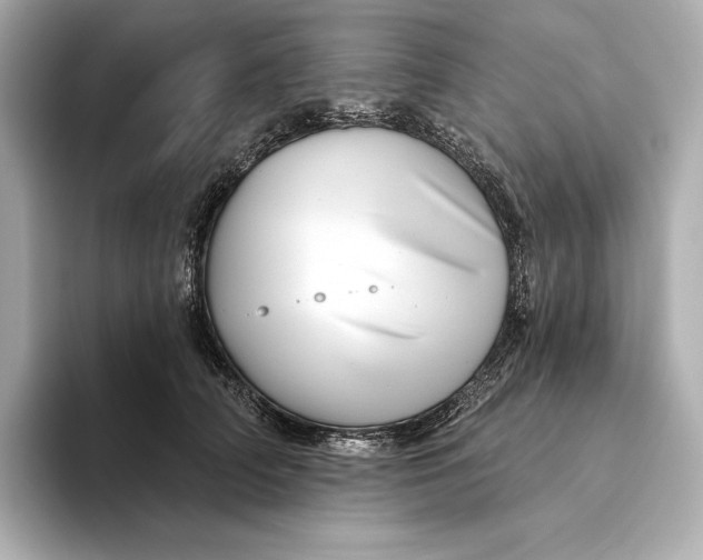 X0000093500706200711021010