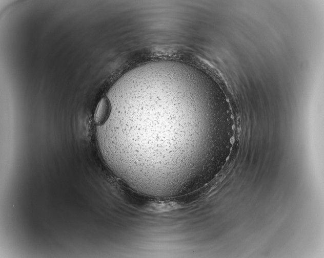 X0000093500712200711021010