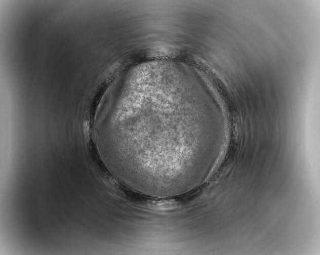 X0000093500716200711021010