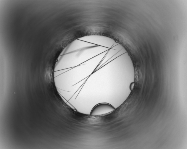 X0000093500718200711021010