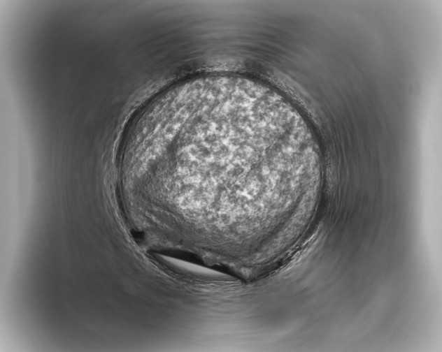 X0000093500721200711021009