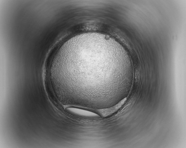 X0000093500722200711021009