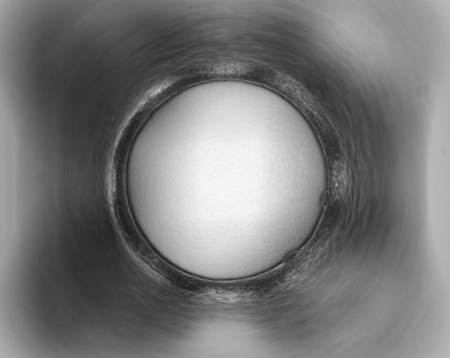 X0000093500726200711021009