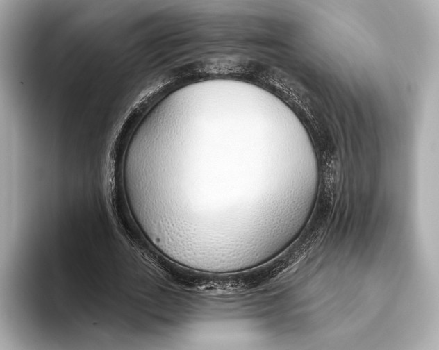 X0000093500727200711021009