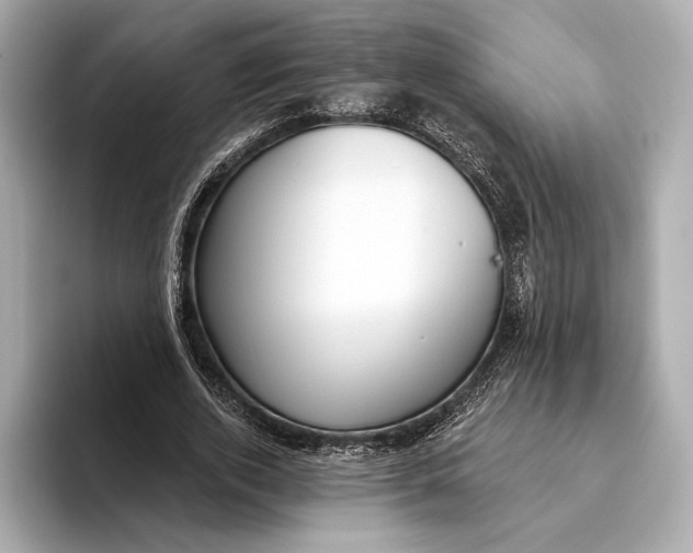 X0000093500728200711021009