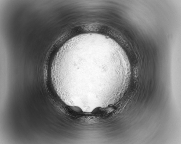 X0000093500733200711021009