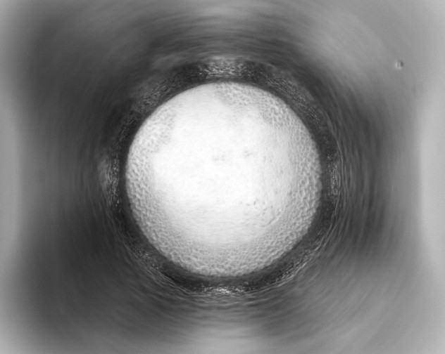 X0000093500737200711021009