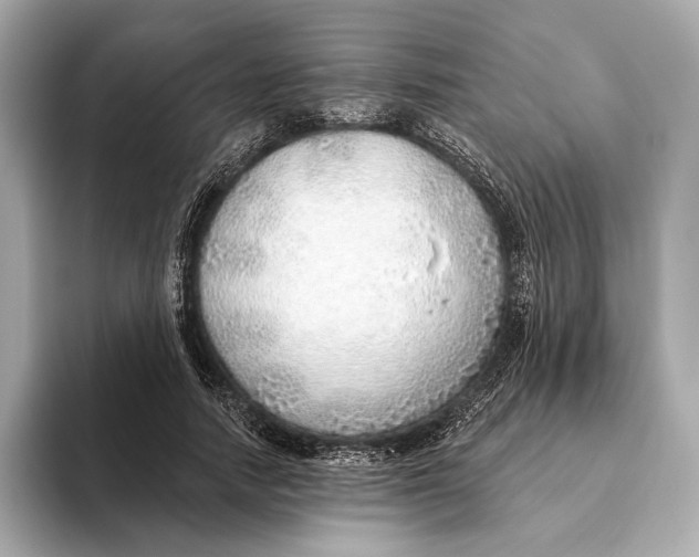 X0000093500738200711021009
