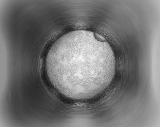 X0000093500742200711021009