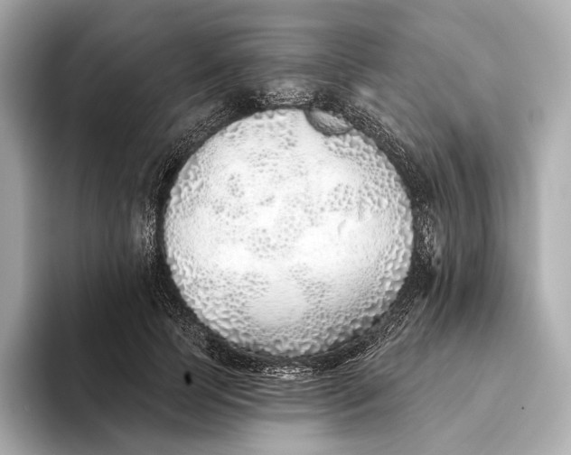 X0000093500745200711021009