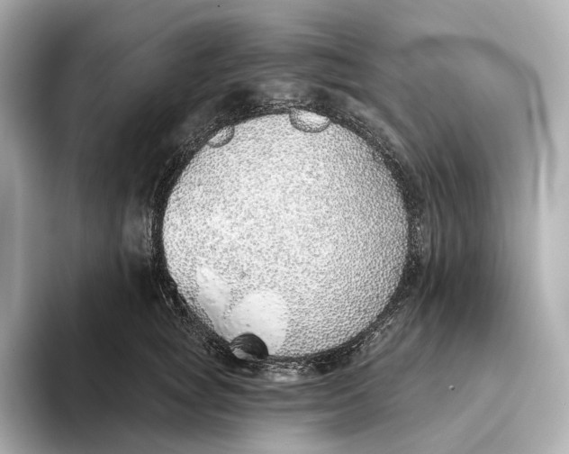 X0000093500757200711021009