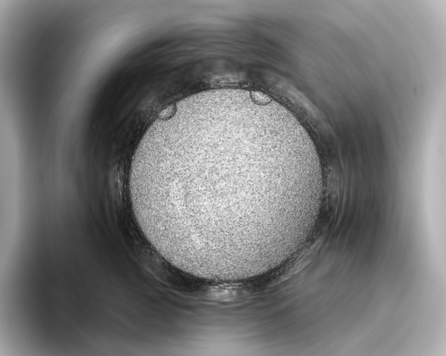X0000093500761200711021009