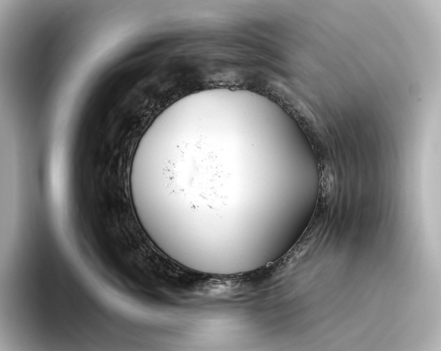 X0000093500764200711021009