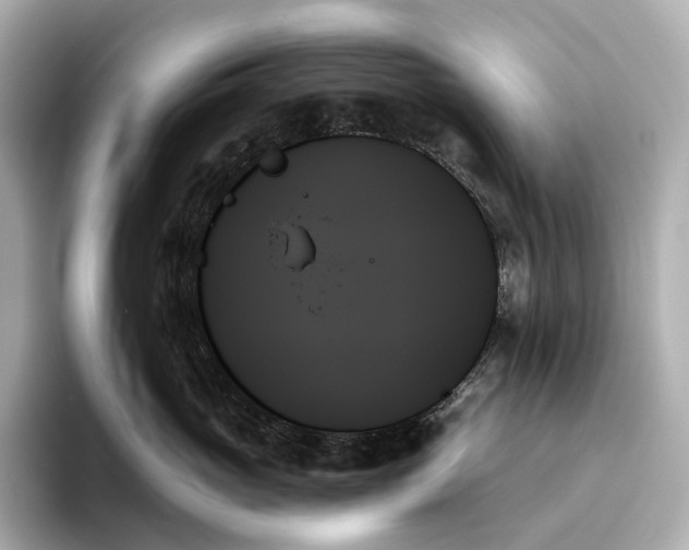 X0000093500765200711021009