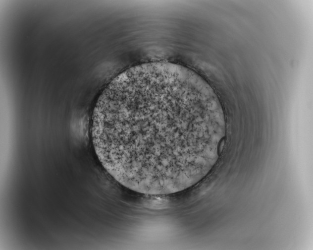 X0000093500768200711021010