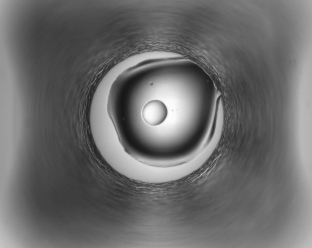 X0000093500769200711021009