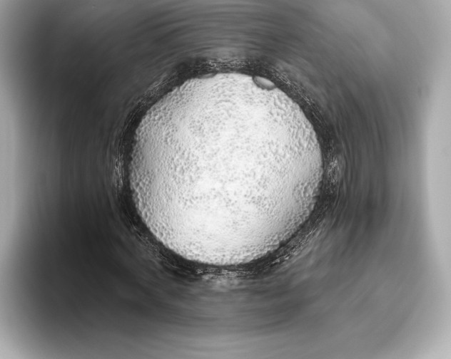 X0000093500772200711021009