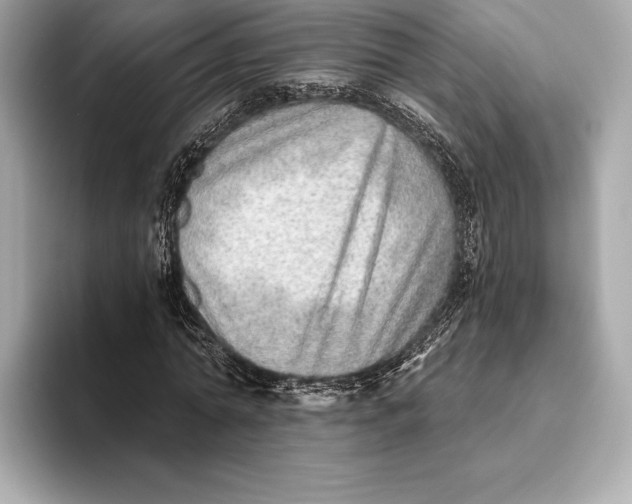 X0000093500774200711021009