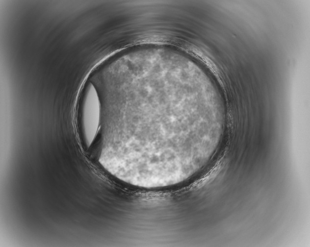 X0000093500779200711021009