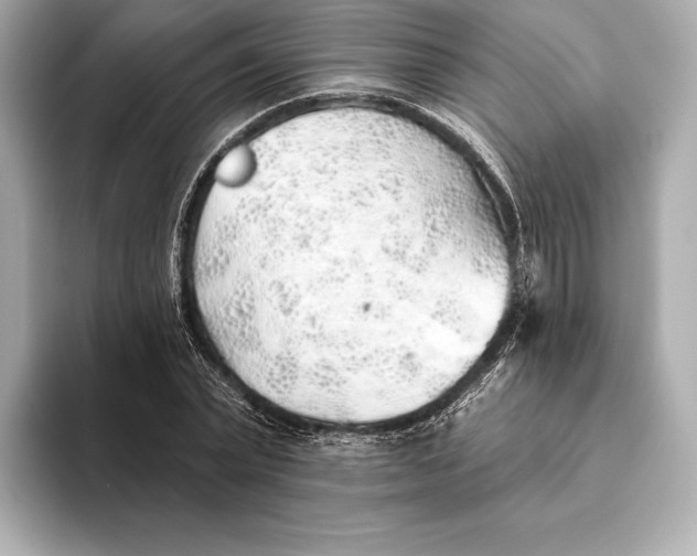 X0000093500783200711021009