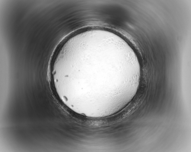 X0000093500791200711021009