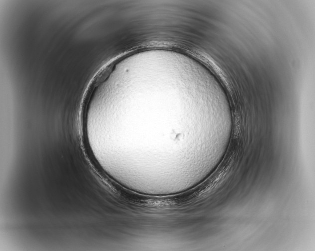 X0000093500795200711021009