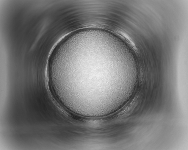 X0000093500796200711021009
