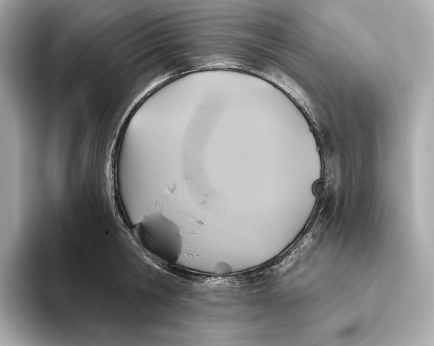 X0000093500806200711021009