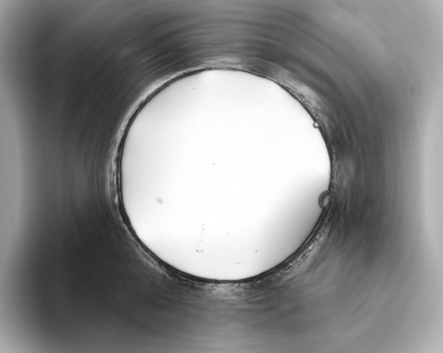 X0000093500808200711021008