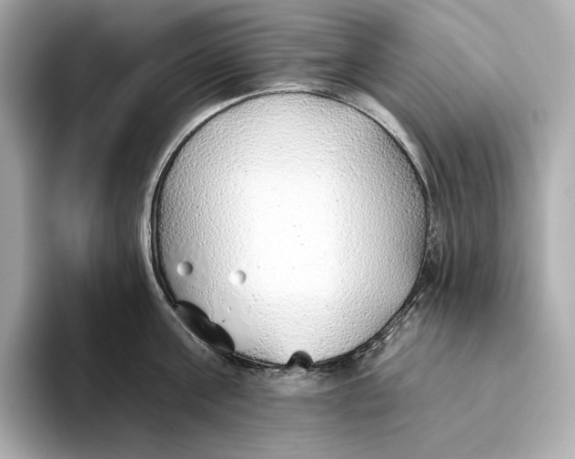 X0000093500811200711021008