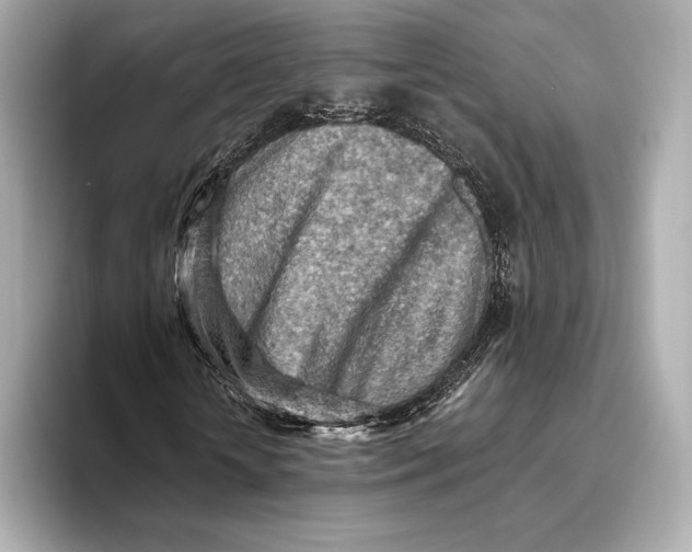 X0000093500818200711021008