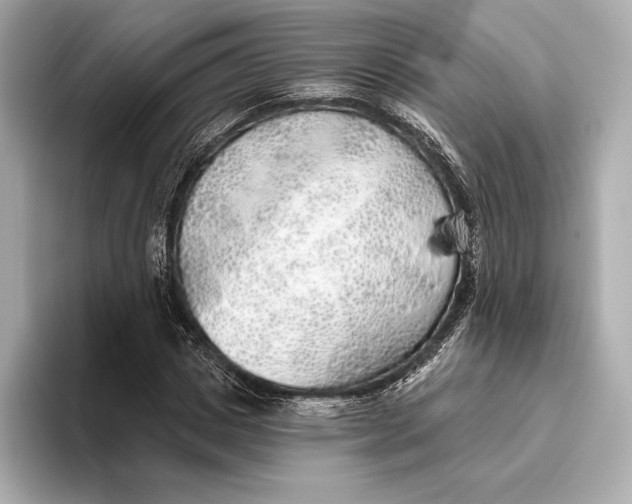 X0000093500825200711021008