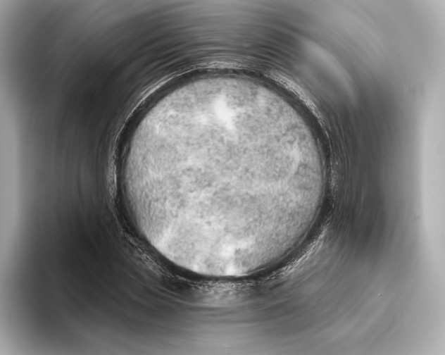 X0000093500829200711021008