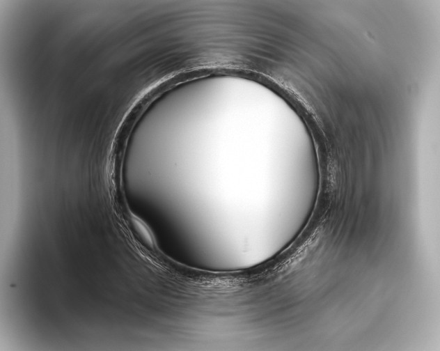 X0000093500830200711021008