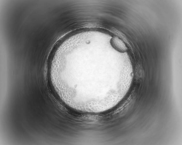 X0000093500831200711021008