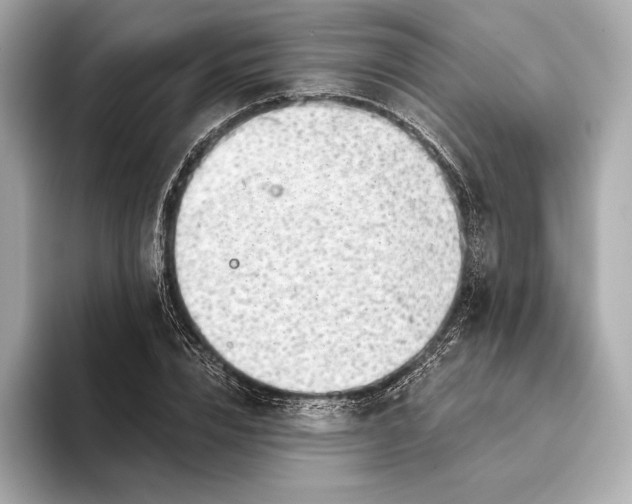 X0000093500832200711021008