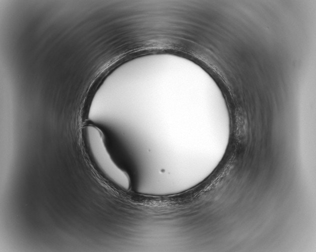 X0000093500834200711021008